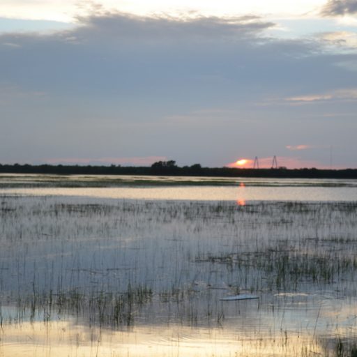 Storms. Lightning. Thunder…