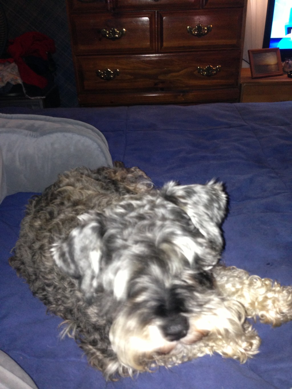 Some Days Are Better Left&nbsp;Unsaid