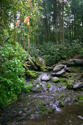 heading-towards-grotto-falls-we-discover-the-first-tease