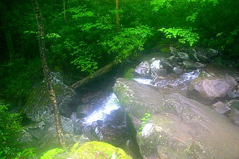 second-tease-of-grotto-falls