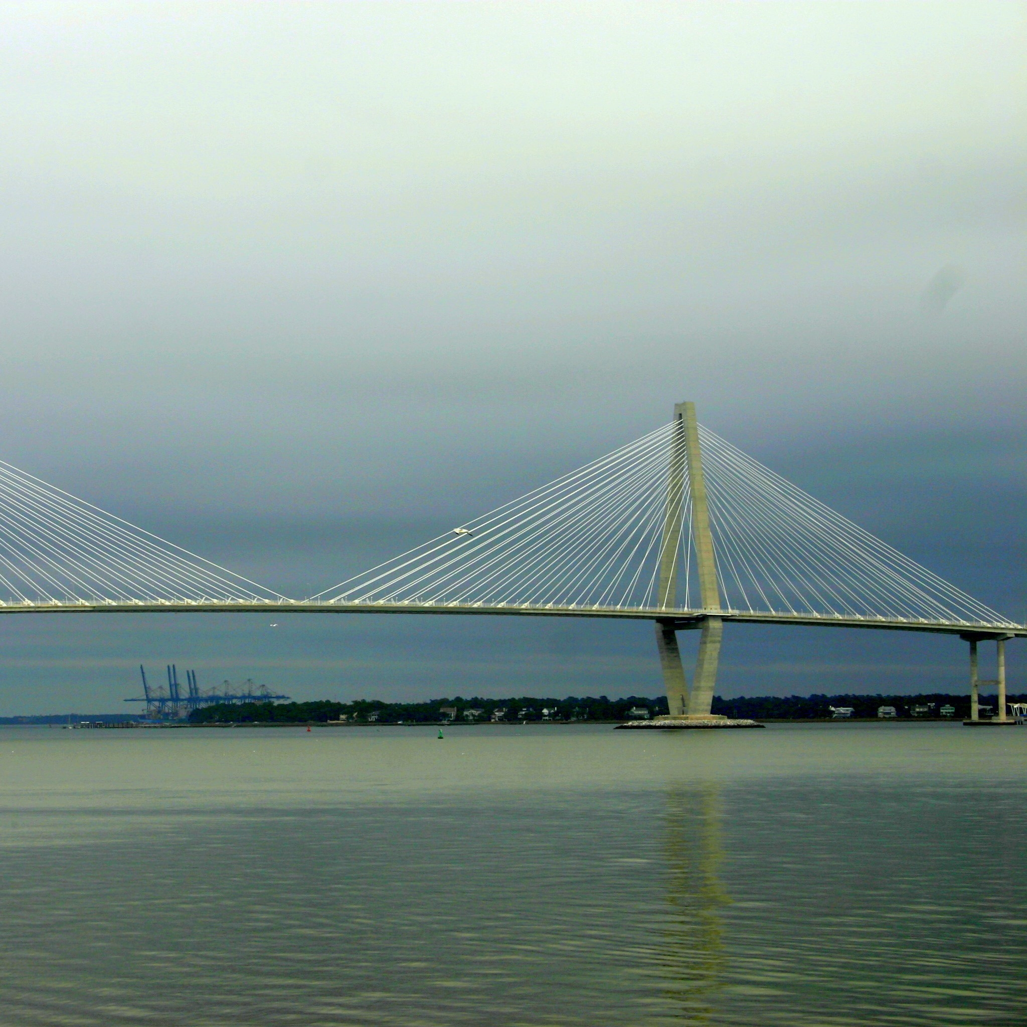 cropped-arthur-ravenel-bridge