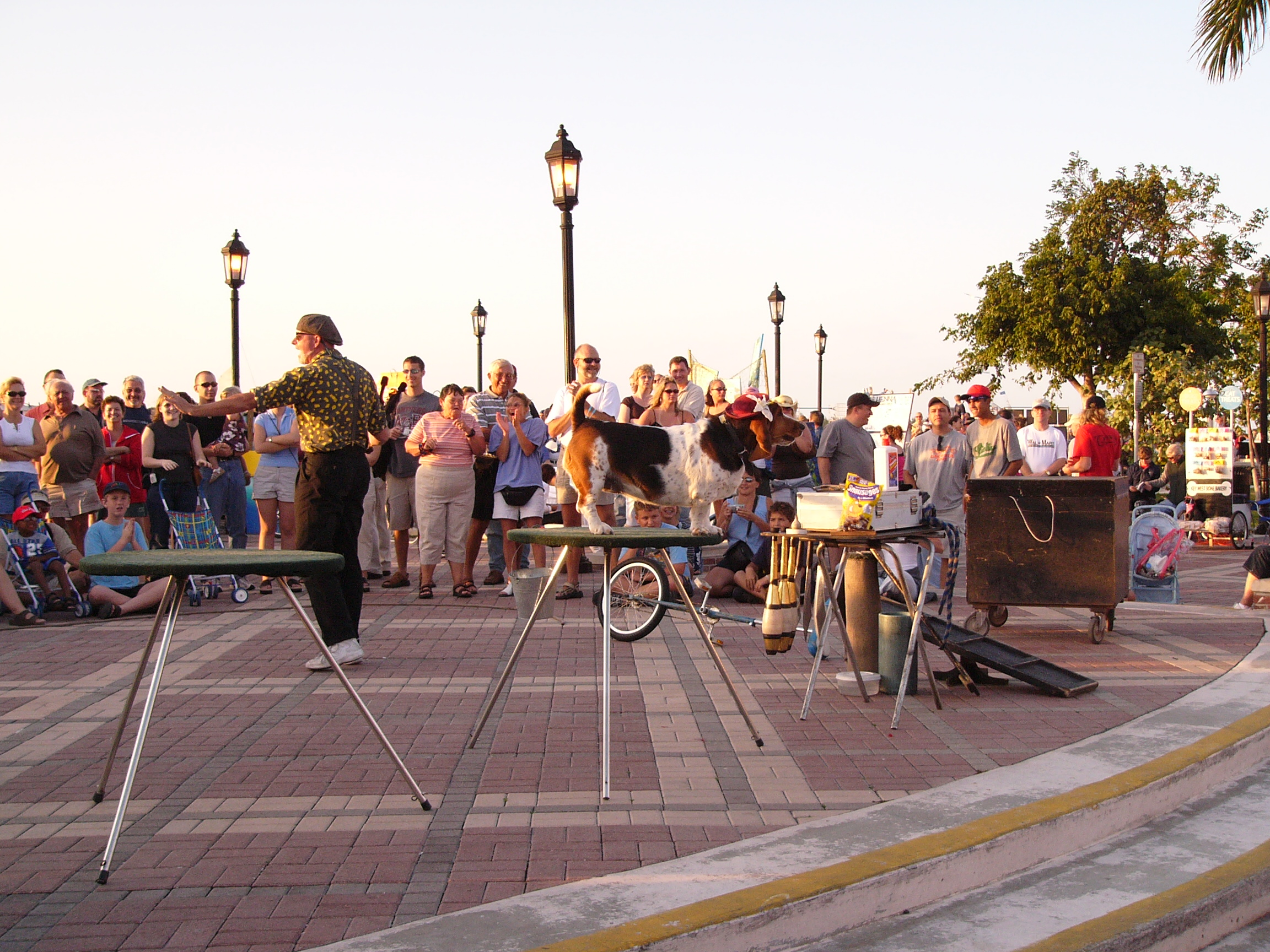 Sunset Party Key West